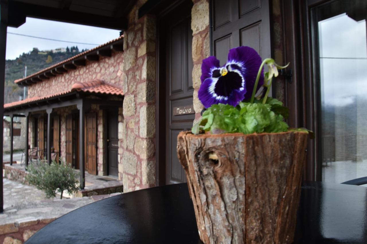 Paliokastro Guesthouse Kato Sinikia Trikalon Exterior photo
